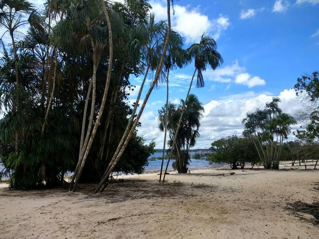 Casa Varanda Do Tupe Manaus Eksteriør billede